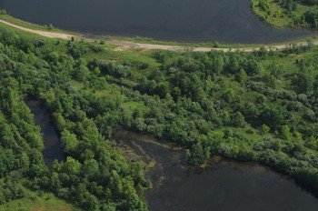 Property photo 34 - 1,025 Acres in 24 Tracts - Exellent Recreation Opportunity - Potential Building Sites - 11 Lakes & Ponds